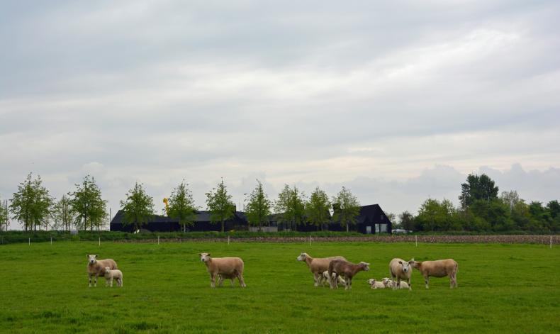 Hans R. Visser (van elke foto kunnen we een zwaar bestand aanleveren)