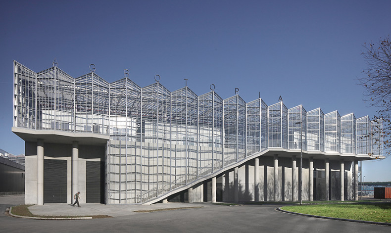 Filip Dujardin