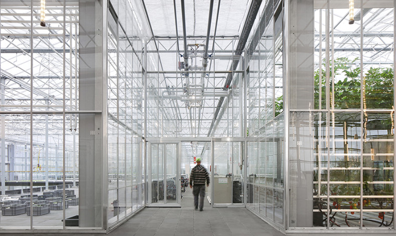 Filip Dujardin