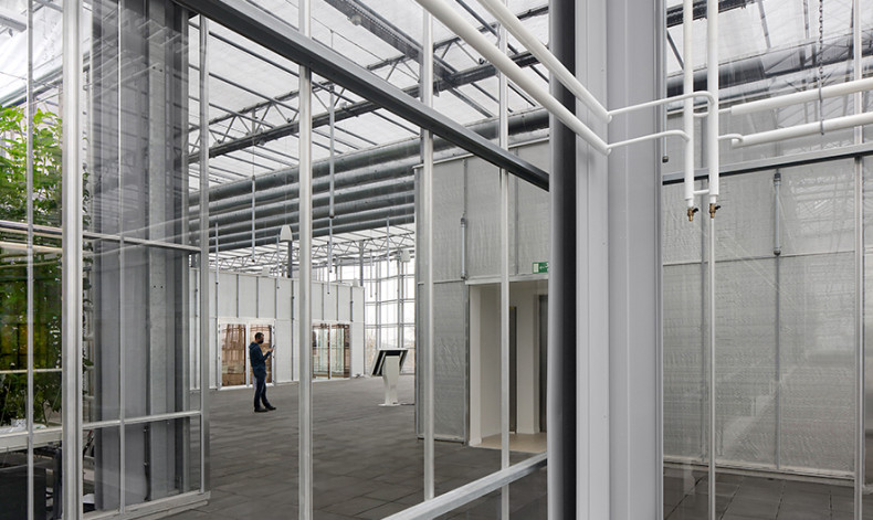 Filip Dujardin