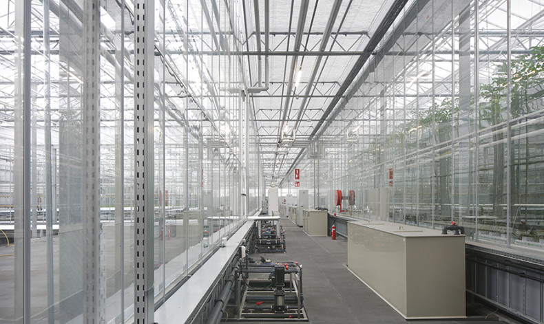Filip Dujardin