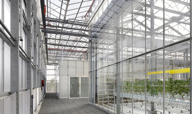 Filip Dujardin