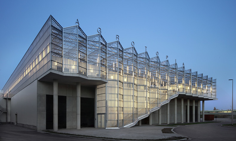 Filip Dujardin