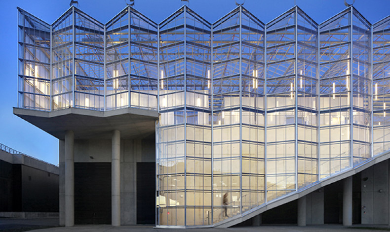 Filip Dujardin