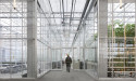 Filip Dujardin