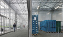 Filip Dujardin