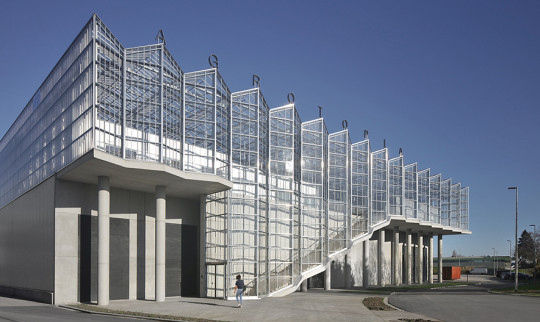 Filip Dujardin